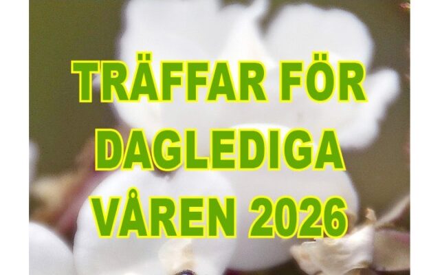 Träffar för daglediga våren 2026