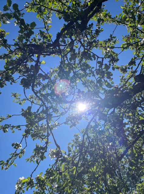 NYTT från Bodakyrkan för juni – augusti 2024