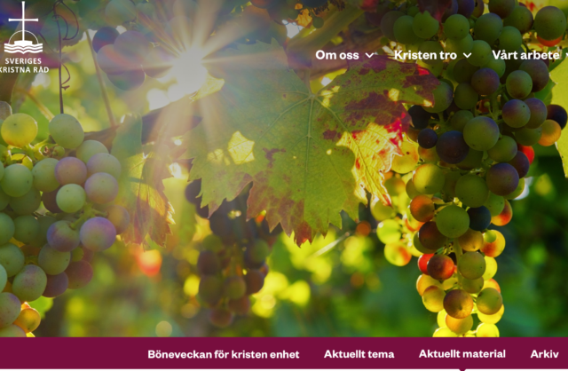 Digital gudstjänst söndag 24/1 kl. 10