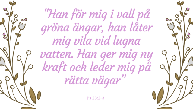 Rörelse & Avslappning