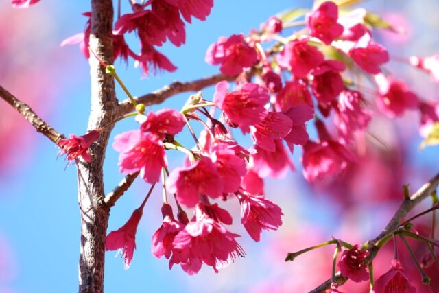 Gudstjänst i Luleå Mfs 20 juni kl. 11