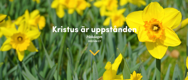 Påskdagsgudstjänst kl. 11:00, 17 april 2022