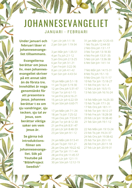 Vi läser Johannesevangeliet tillsammans