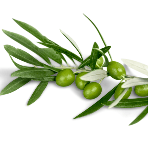 Vi läser Bibeln och ber tillsammans