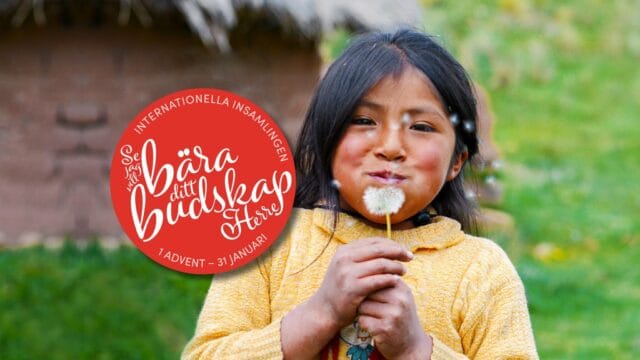 Insamling för världens skull