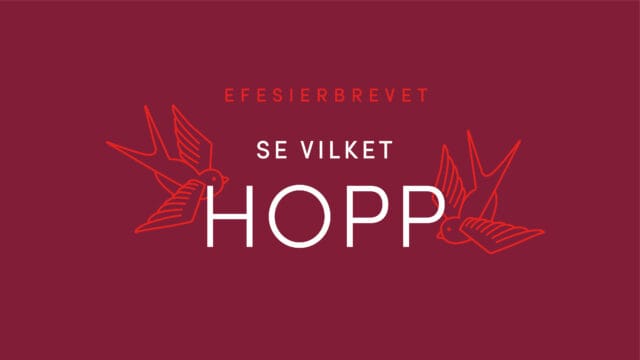 Vi läser Efesierbrevet