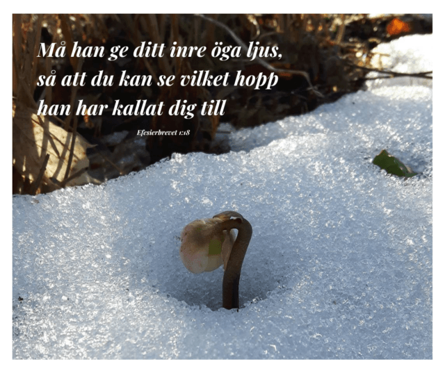 Må han ge ditt inre öga ljus