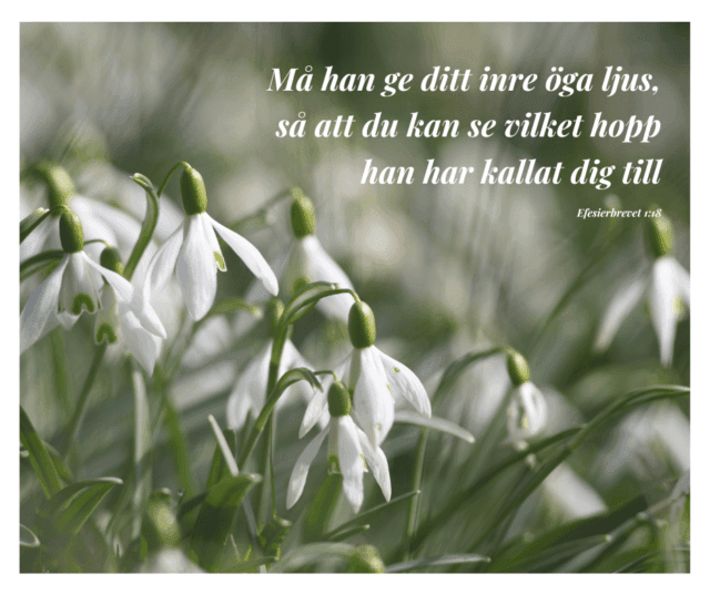 Ge mitt inre öga ljus