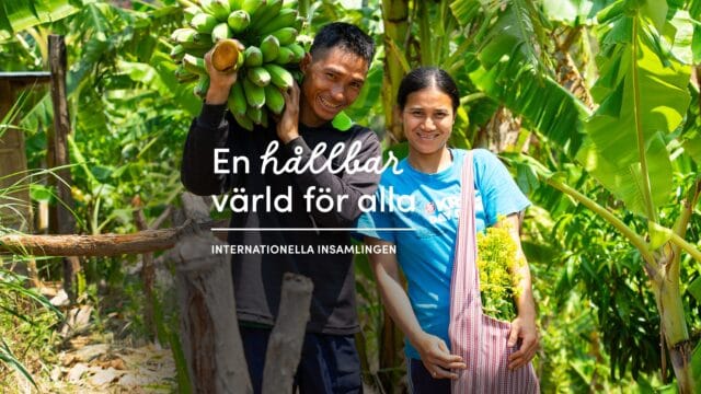 En hållbar värld börjar i det lilla – som en fruktträdgård på en bergskulle i norra Thailand.