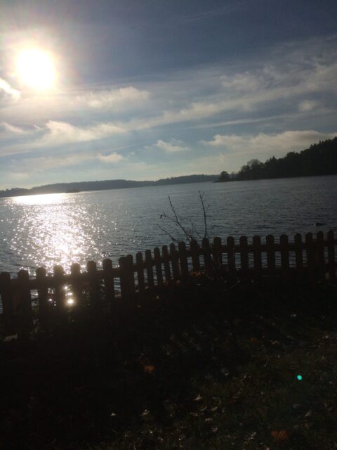 Under fastetiden inför påsken går Equmeniakyrkan in i Klimatfastan.