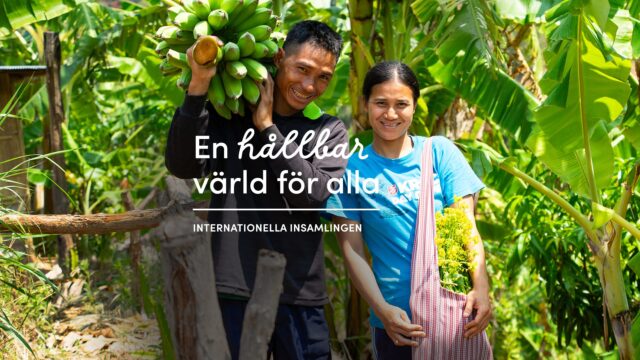 Internationella insamlingen: 1 advent – 31 januari 2025