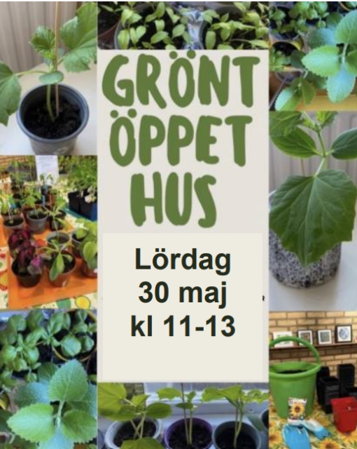 Grönt öppet hus 30 maj