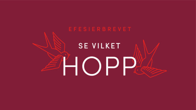 Vi läser Efesierbrevet