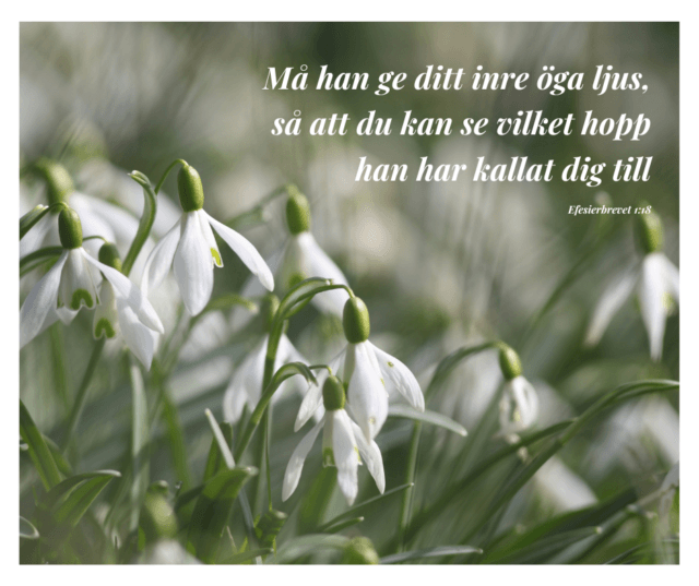 Ge mitt inre öga ljus