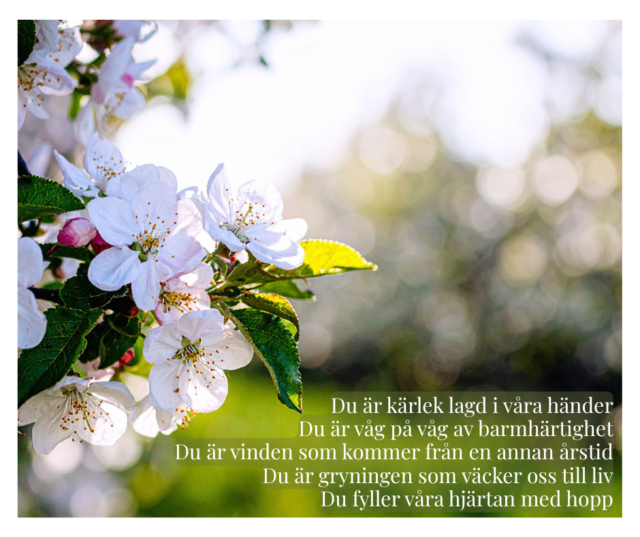 Vinden som kommer från en annan årstid