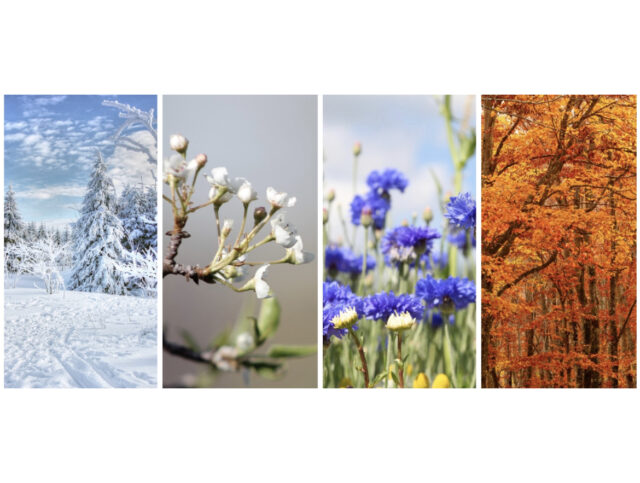 Bildspel ”De fyra årstiderna”