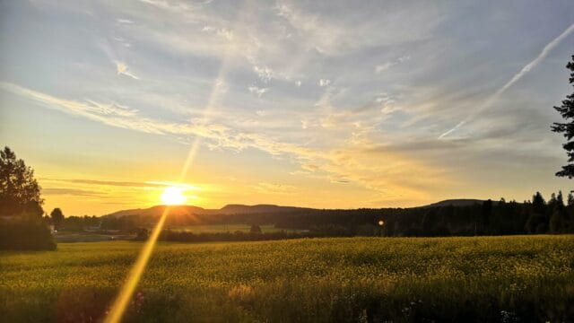 Kretsträffens sommarutfärd till Skara 3 juni