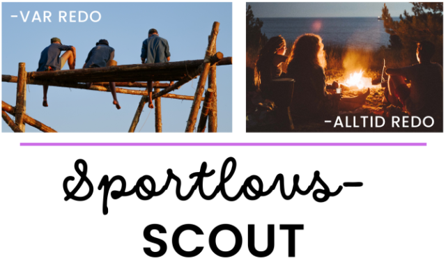 Scoutdag