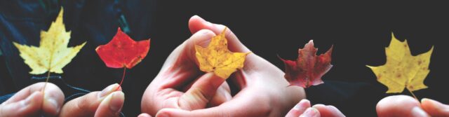 Hälsning mitt i terminen