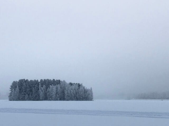 12 Nov: Värna den jord Gud älskar