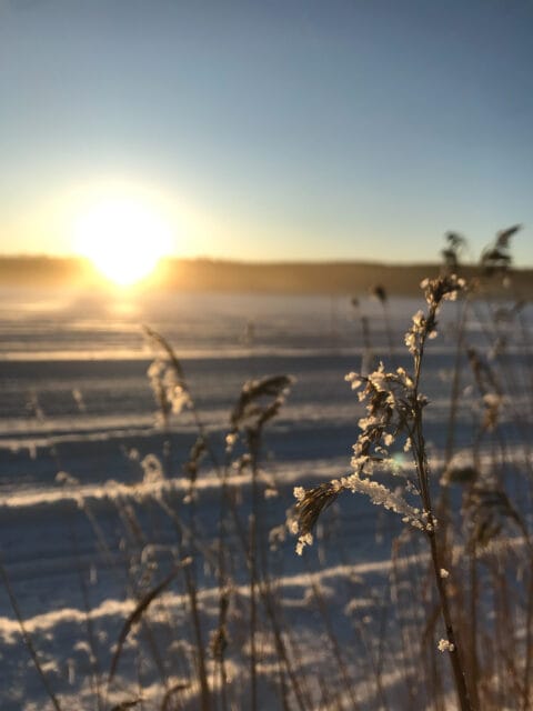 Program mars – maj 2026