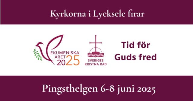 Ekumeniska året 2025