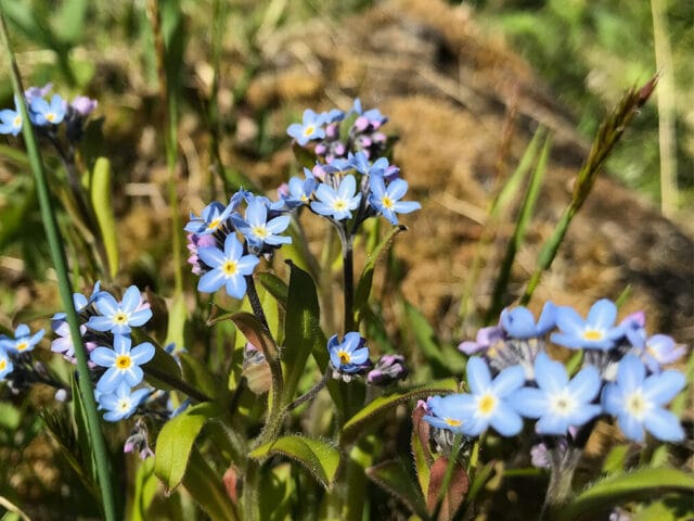 Program juni – aug 2025