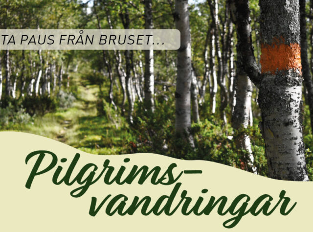 Pilgrimsvandringar