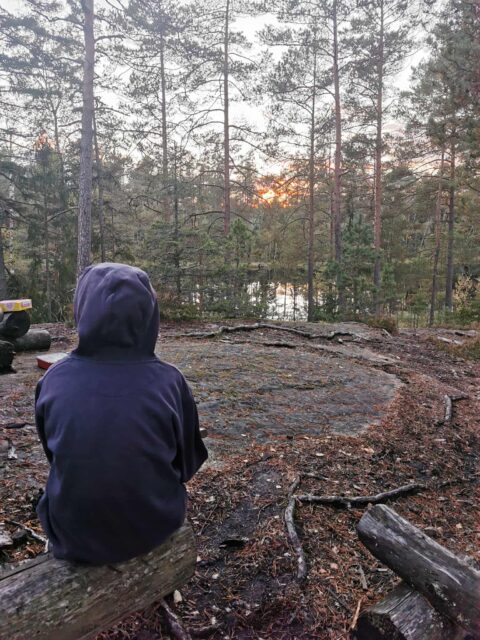 Scouterna ses vid Gransjön