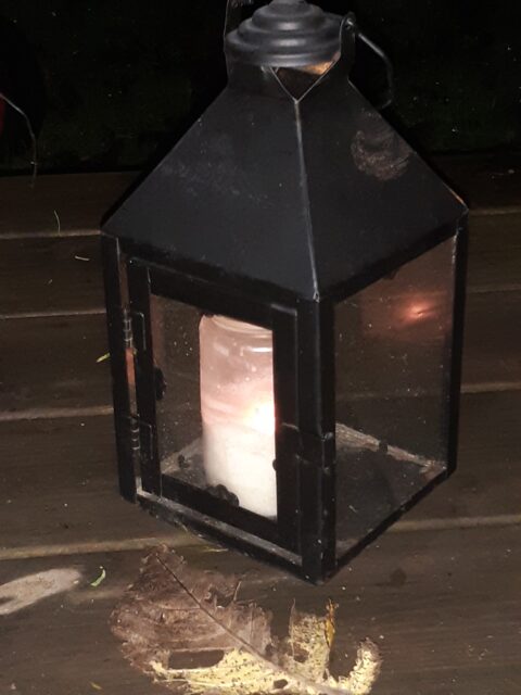 Ljuset som lyser upp vår blindhet