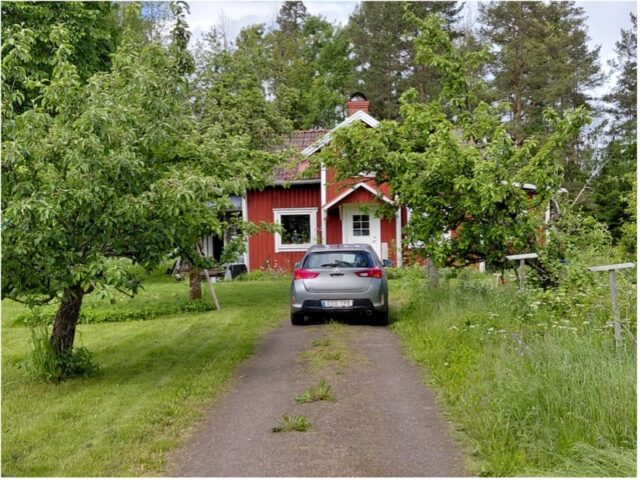 Friluftsgudstjänst