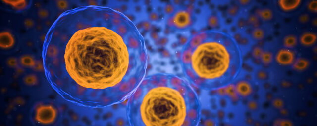 Gudstjänst 23e mars