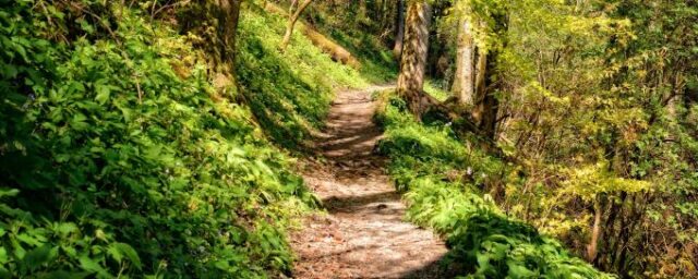 Gå å må bra 19e april