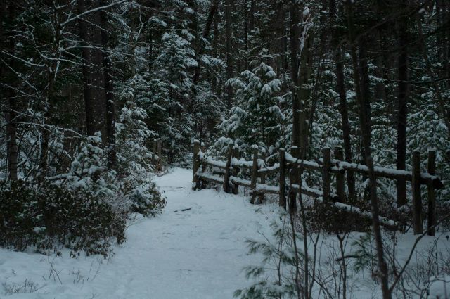 Öppen kyrka 11:e januari
