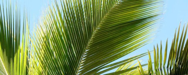 Gudstjänst 29:e mars