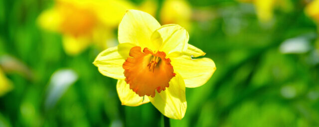 Påskdagsgudstjänst 5e april