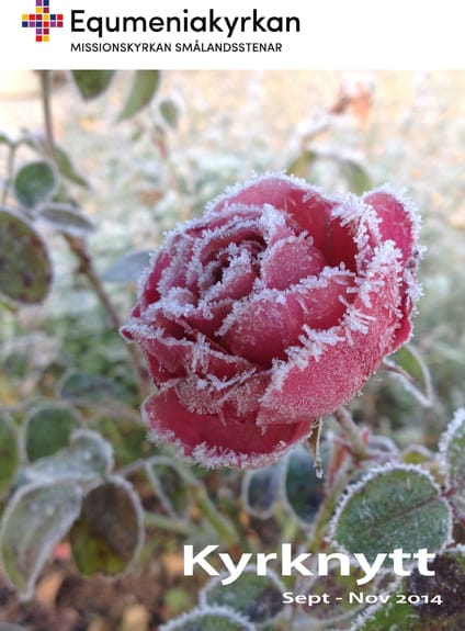 Kyrknytt september – november 2014