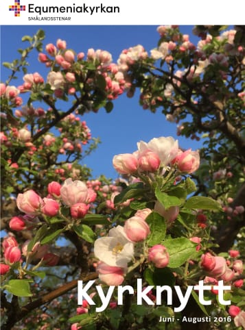 Programblad för sommaren på Tre Björkar samt Cafékvällarna