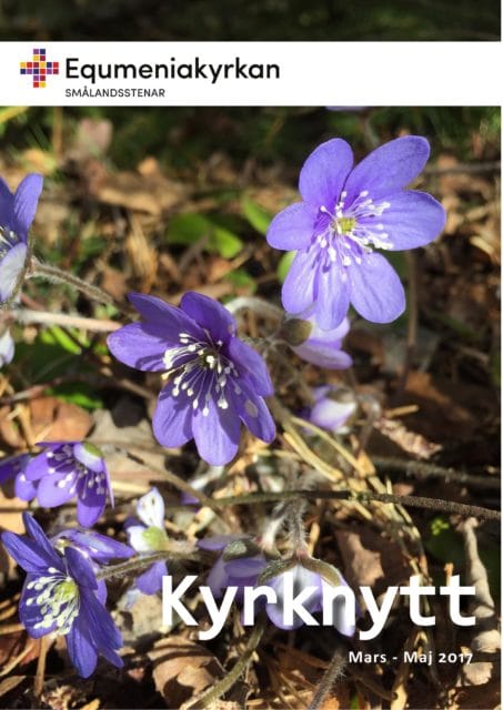 Kyrknytt våren 2017