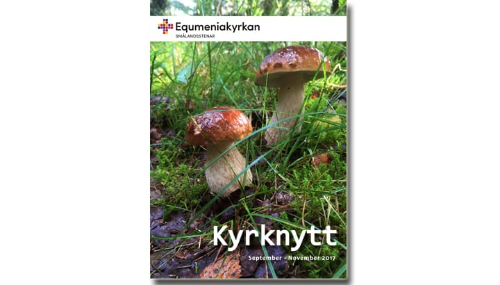 Kyrknytt hösten 2017