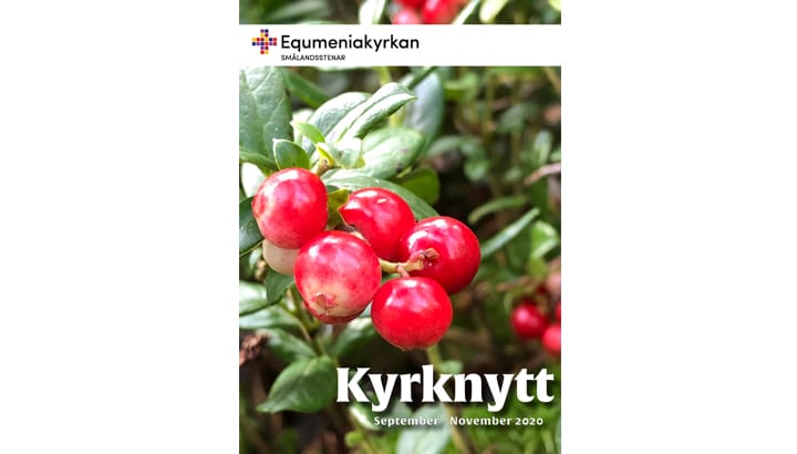 Kyrknytt hösten 2020