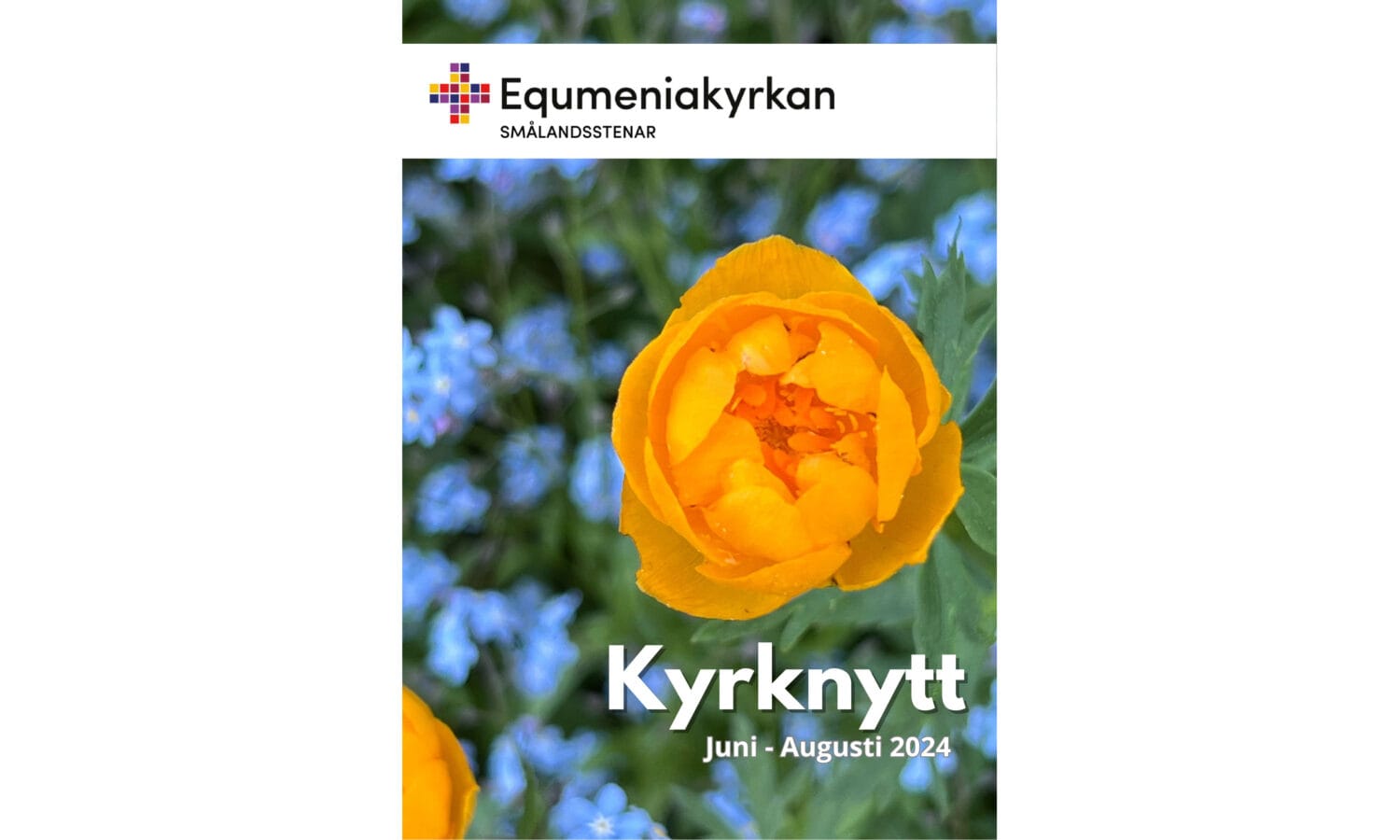 Kyrknytt sommaren 2024
