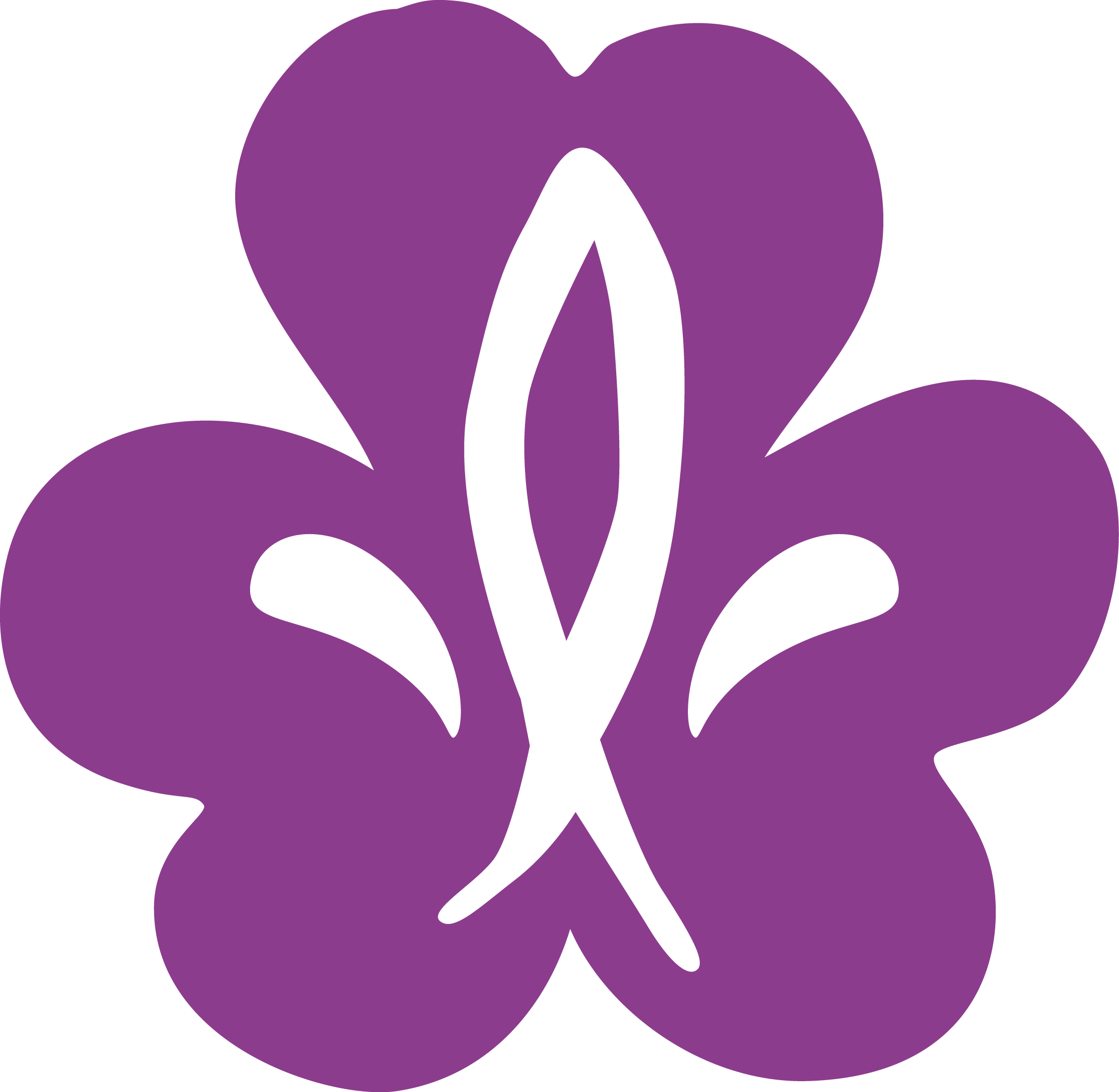 equmenia logga, scout,