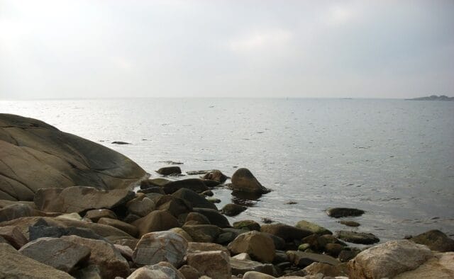 Hönökonferensen 2025