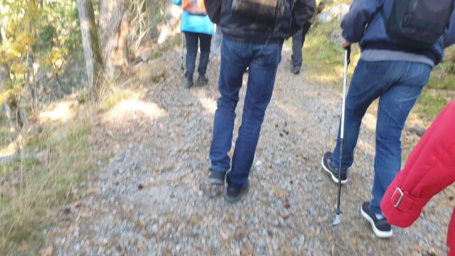 Glad Promenad tisdag 18 oktober kl 10:00