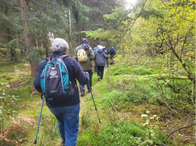 Glad Promenad tisdag 2025-10-07 kl 10:00-12:30