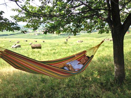 Personalens semestrar sommaren 2025