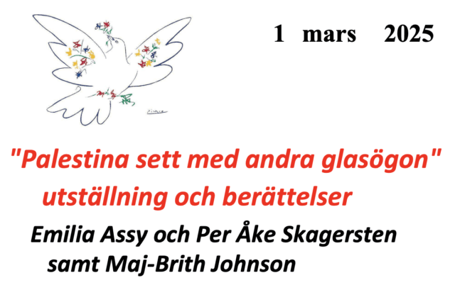 Fredskyrka – ”Palestina sett med andra glasögon”