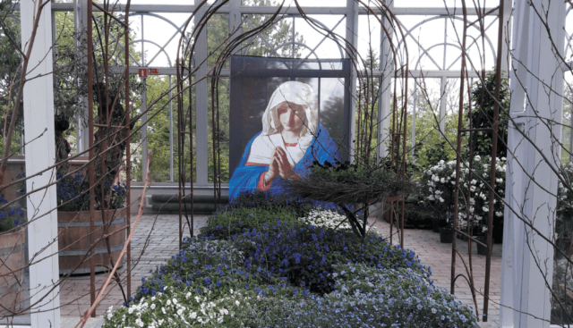 Programblad Februari 2026 – Maj 2026