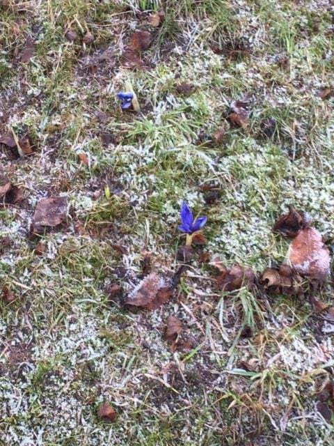 Workshop om församlingsgrundande arbete i region väst